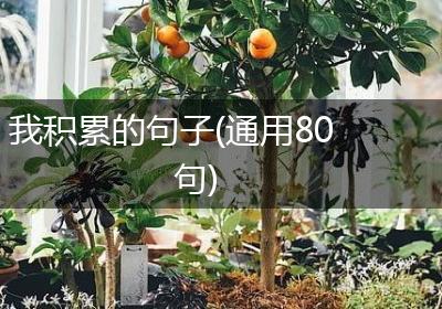 我积累的句子(通用80句)