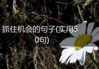 抓住机会的句子(实用50句)