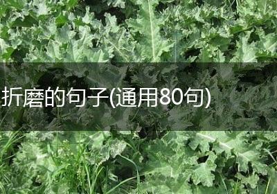 折磨的句子(通用80句)
