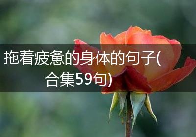 拖着疲惫的身体的句子(合集59句)