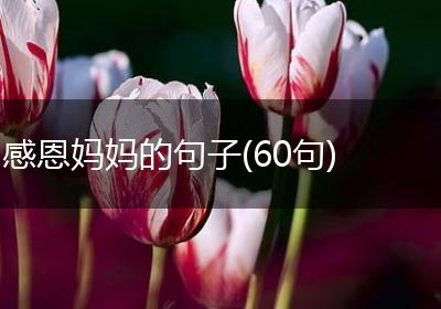 感恩妈妈的句子(60句)