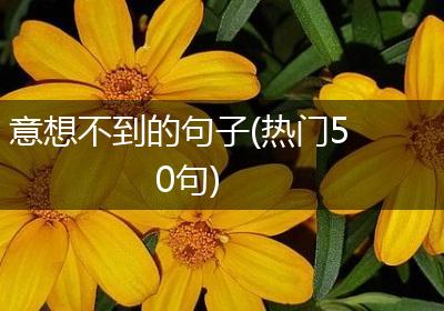 意想不到的句子(热门50句)