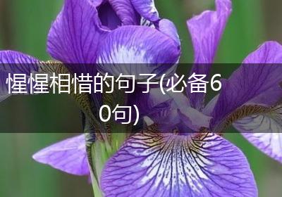 惺惺相惜的句子(必备60句)