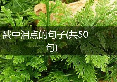 戳中泪点的句子(共50句)