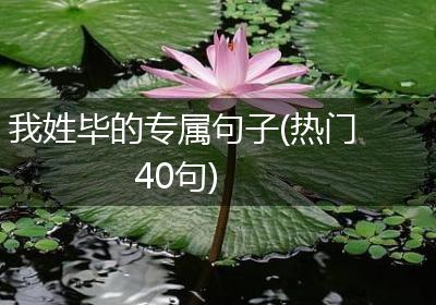 我姓毕的专属句子(热门40句)