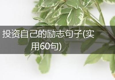 投资自己的励志句子(实用60句)