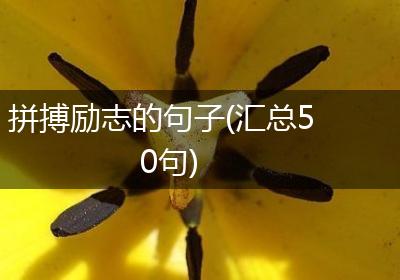 拼搏励志的句子(汇总50句)