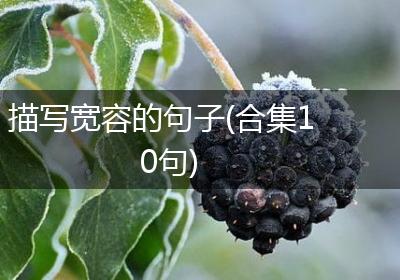 描写宽容的句子(合集10句)