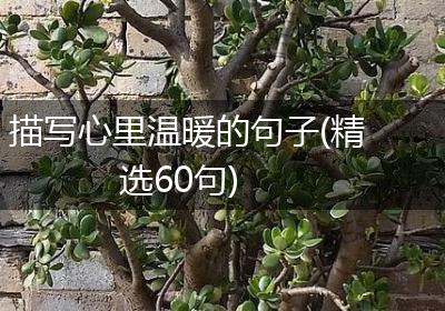 描写心里温暖的句子(精选60句)
