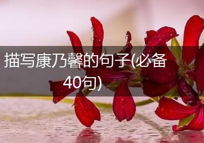 描写康乃馨的句子(必备40句)