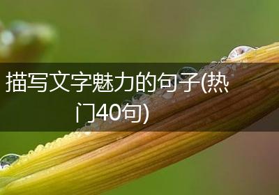 描写文字魅力的句子(热门40句)
