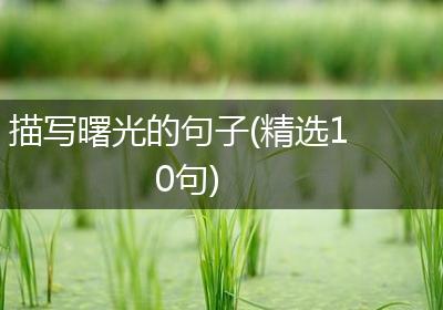 描写曙光的句子(精选10句)