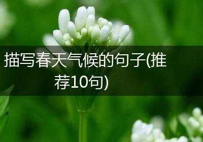 描写春天气候的句子(推荐10句)