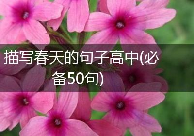 描写春天的句子高中(必备50句)