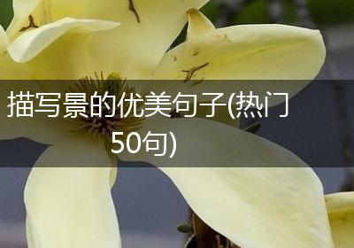描写景的优美句子(热门50句)
