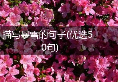 描写暴雪的句子(优选50句)