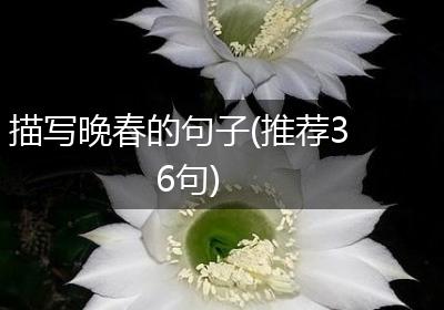描写晚春的句子(推荐36句)