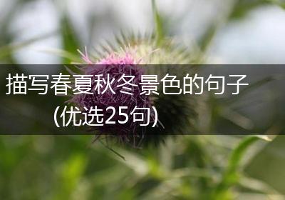 描写春夏秋冬景色的句子(优选25句)