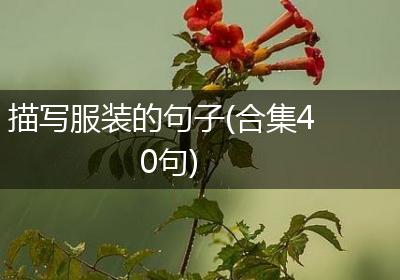 描写服装的句子(合集40句)