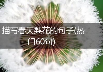 描写春天梨花的句子(热门60句)