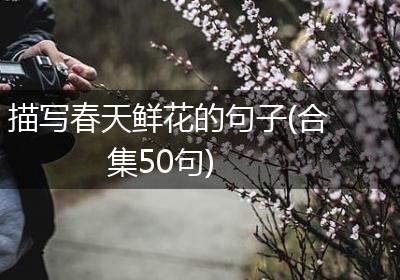描写春天鲜花的句子(合集50句)