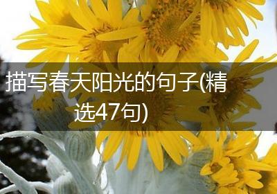 描写春天阳光的句子(精选47句)
