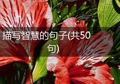 描写智慧的句子(共50句)
