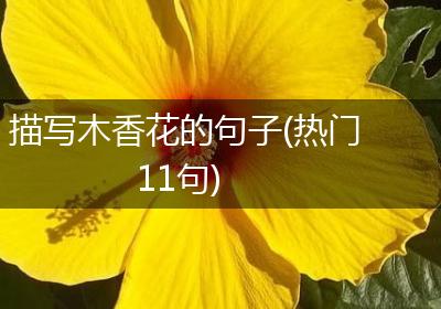 描写木香花的句子(热门11句)