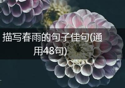 描写春雨的句子佳句(通用48句)
