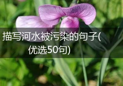描写河水被污染的句子(优选50句)