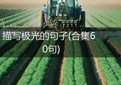 描写极光的句子(合集60句)