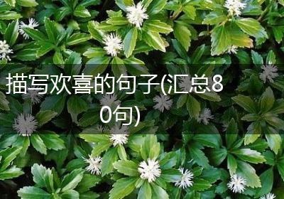 描写欢喜的句子(汇总80句)