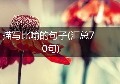 描写比喻的句子(汇总70句)