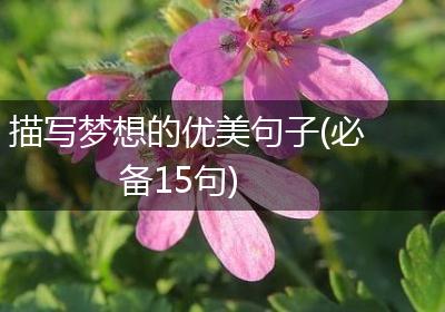 描写梦想的优美句子(必备15句)