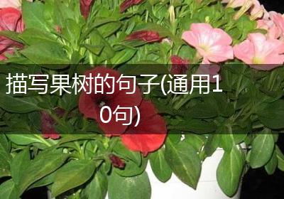 描写果树的句子(通用10句)