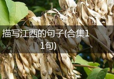 描写江西的句子(合集11句)