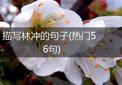 描写林冲的句子(热门56句)