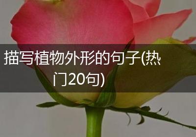 描写植物外形的句子(热门20句)