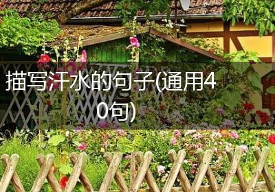描写汗水的句子(通用40句)