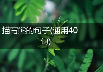 描写熊的句子(通用40句)