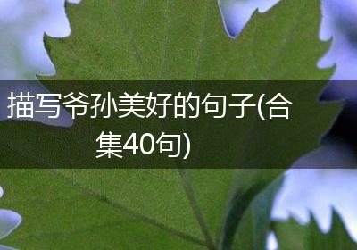 描写爷孙美好的句子(合集40句)