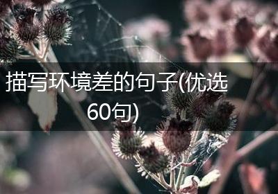 描写环境差的句子(优选60句)