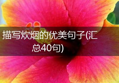 描写炊烟的优美句子(汇总40句)
