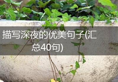描写深夜的优美句子(汇总40句)