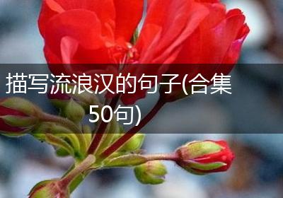 描写流浪汉的句子(合集50句)