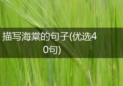 描写海棠的句子(优选40句)