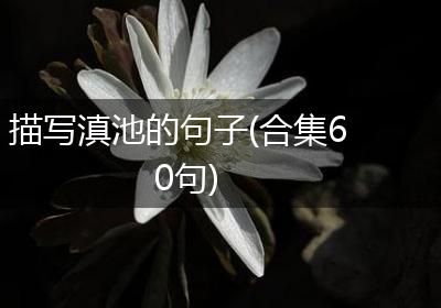 描写滇池的句子(合集60句)