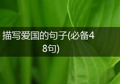 描写爱国的句子(必备48句)