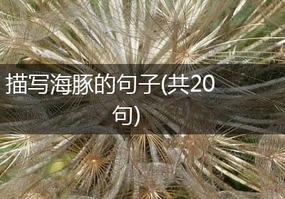 描写海豚的句子(共20句)