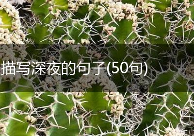描写深夜的句子(50句)